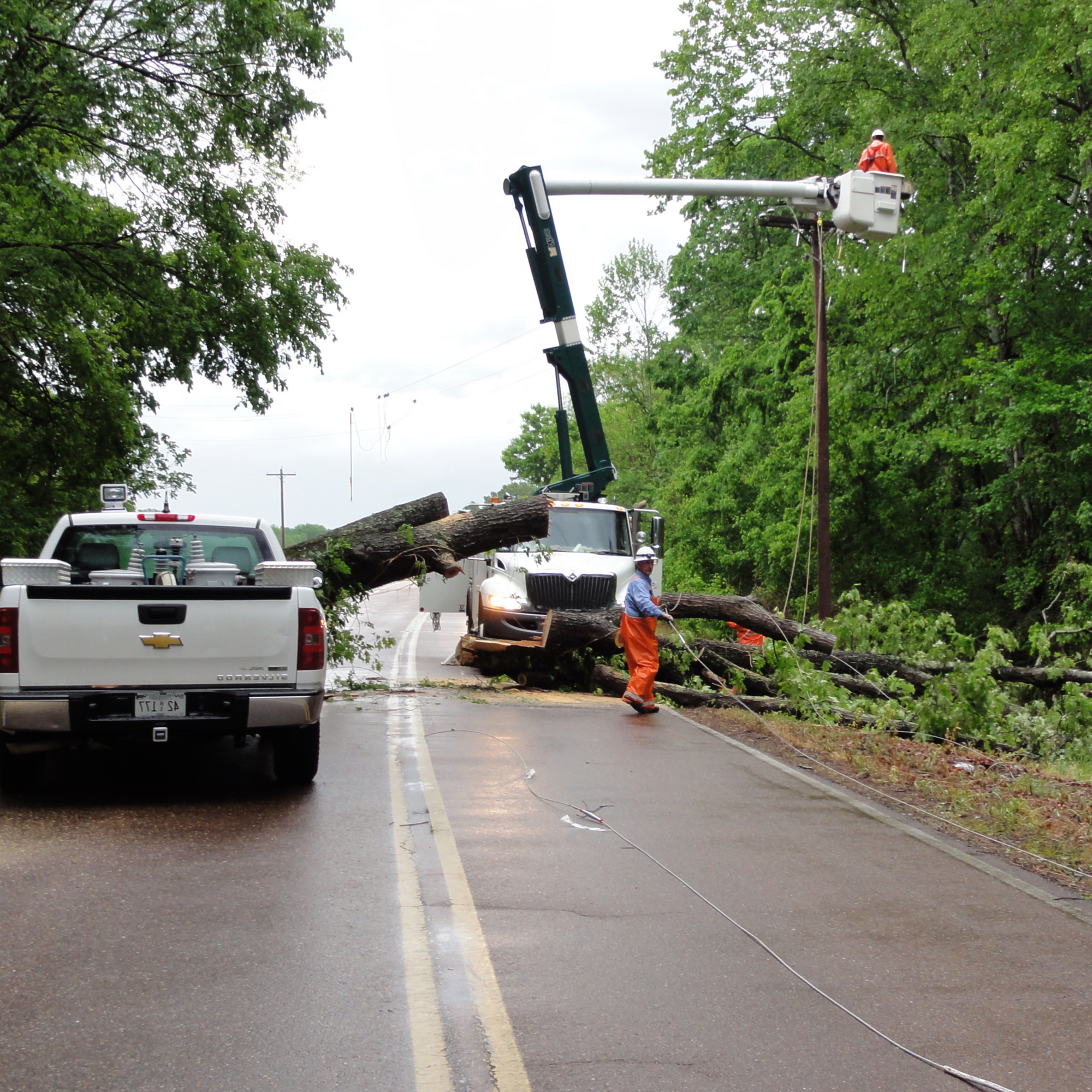 lineworkers restoring a fallen pole